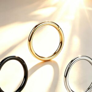 316L Surgical Steel Hinged Segment Ring